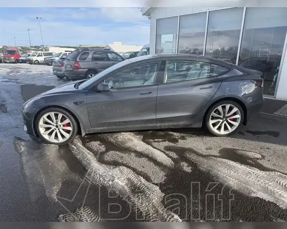 TESLA MODEL 3 PERFORMANCE