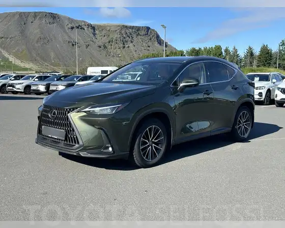 LEXUS NX450H+ EXE