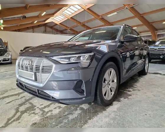 AUDI E-TRON 50