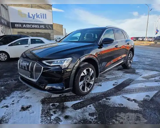 AUDI E-TRON 55
