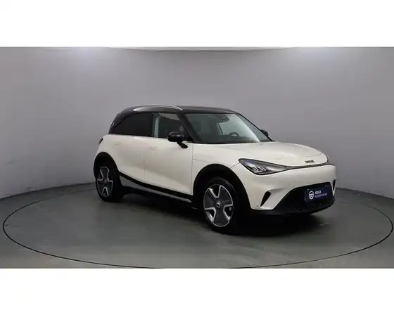 SMART 1 PRO+ 66KWH RWD