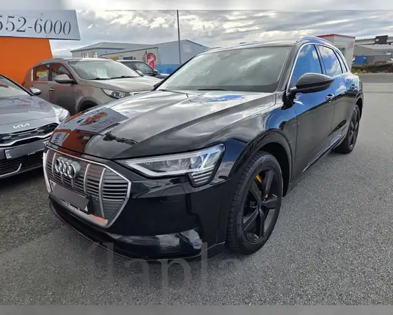AUDI E-TRON 50