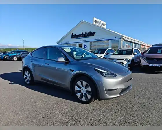 TESLA MODEL Y LONG RANGE