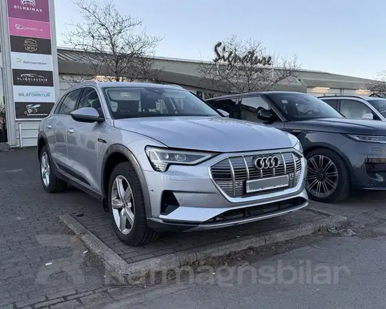 AUDI E-TRON 50